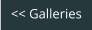 << Galleries